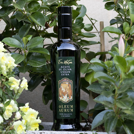 aceite de oliva virgen extra manzanilla cacereña